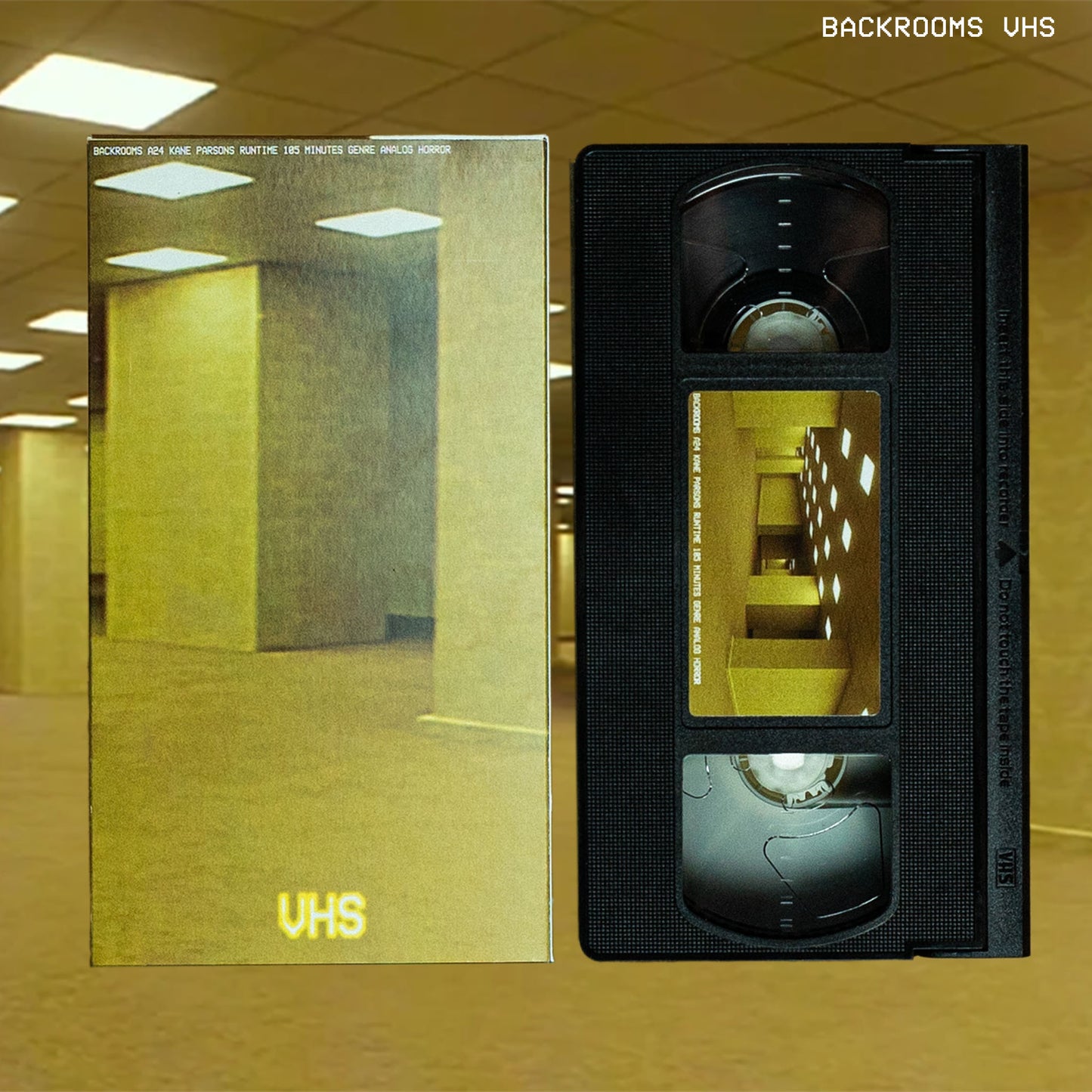 Backrooms on VHS