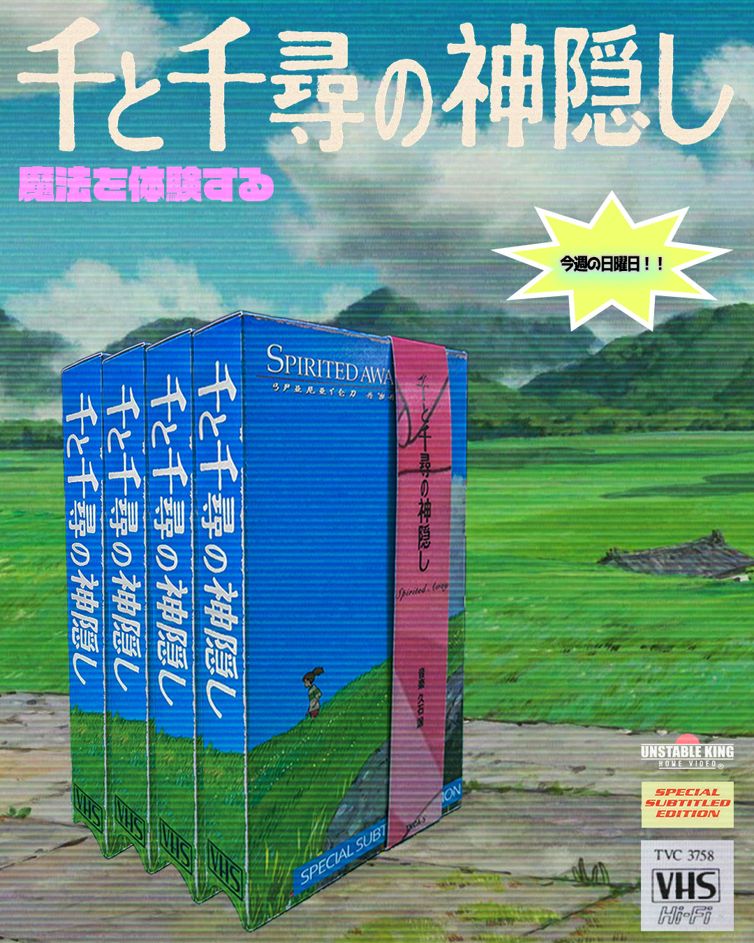 Chihiro's Journey VHS