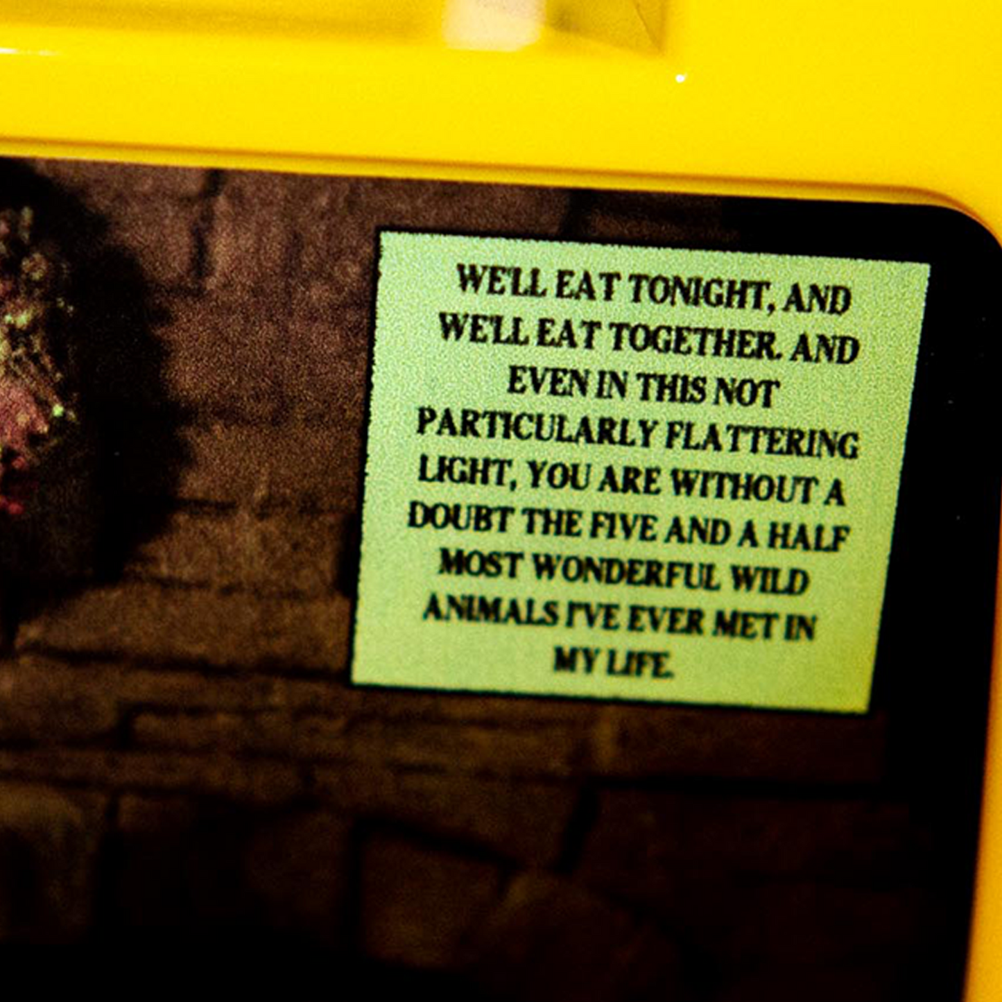 Fantastic Mr. Fox Lunchbox — lunchbox — interior and latch detail — VCR Zone