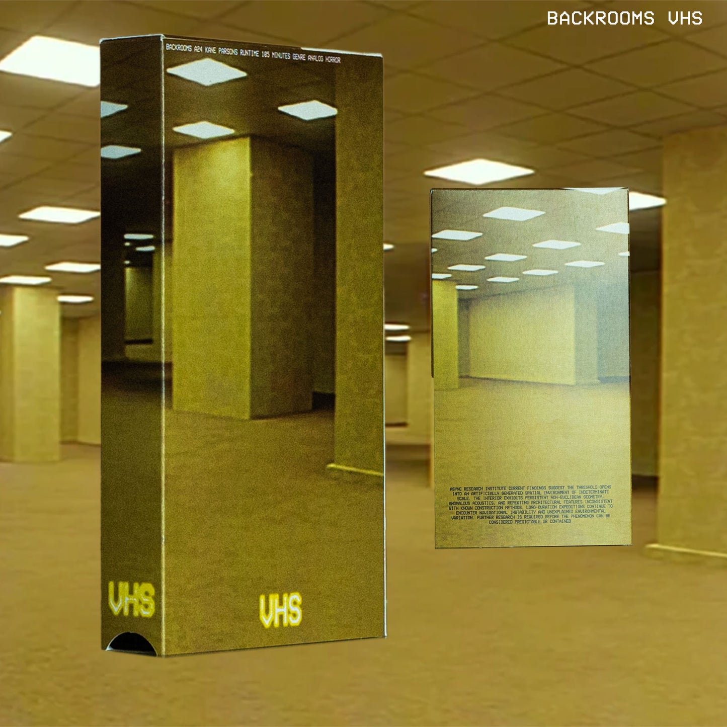 Backrooms on VHS